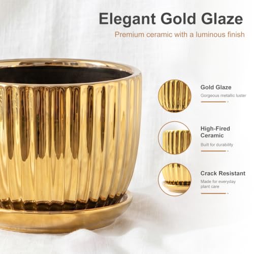 Plant Pots,Ceramic Flower Pots with Drainage Holes & Saucers Set of 3（Gold） - color: Gold