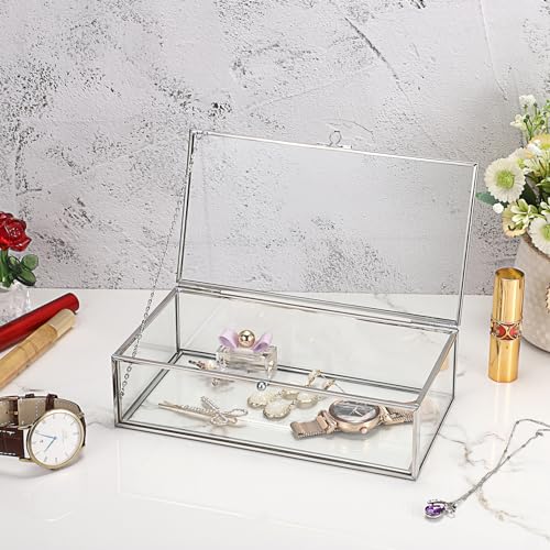 Hipiwe Glass Keepsake Display Box Large Clear Jewelry Lidded Boxes with Lid - color: Silver, size: Large