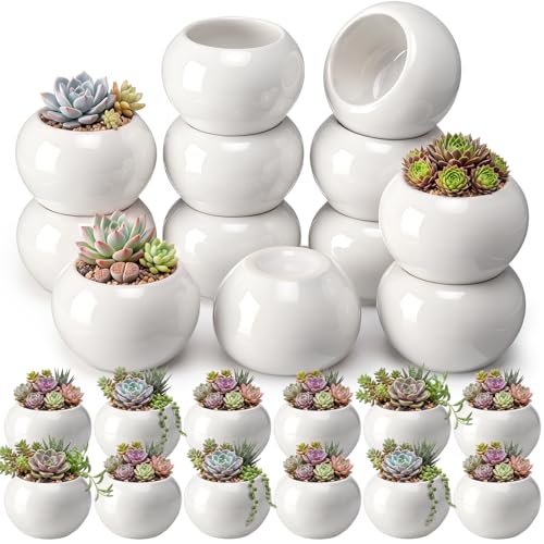 24 Pack 2.5 Inch Small Succulent Pots, White, Classic - style: Classic