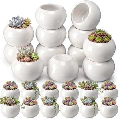 24 Pack 2.5 Inch Small Succulent Pots, White, Classic - style: Classic
