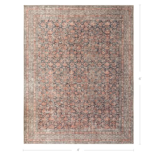 Rustica 4' x 6' Terracotta & Black Accent Rug - Persian-inspired design - size: 4' x 6' (Rectangular)