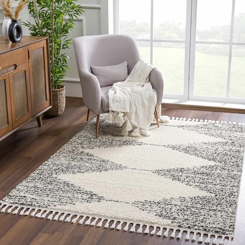 Hauteloom Berber Shag Collection - Howth Farmhouse Entryway, Bedroom, Kitchen Shaggy Runner Rug with Tassel - Fluffy Plush High Pile Carpet - Southwestern Tribal Style - Beige, Black - 2'7" x 7'3" - color: Beige, Black, White / Howth, size: 2'7" x 7'3" (R