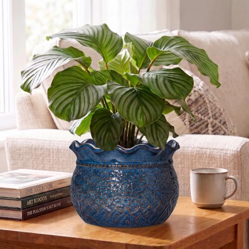 Ceramic Pots for Plants, 10 Inch Planter with Drainage, Retro Blue - color: Retro Blue, size: 10 Inch