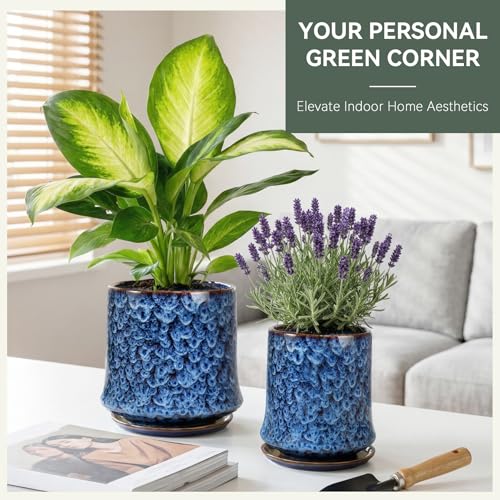 11 Inch Ceramic Planter Pot with Saucer Drainage Leak-Proof Mesh,Flower Pots for Lavender with Gardening Gloves,Ceramic Planter for Orchid(Peacock-Blue) - color: Peacock-blue, size: 11 Inch