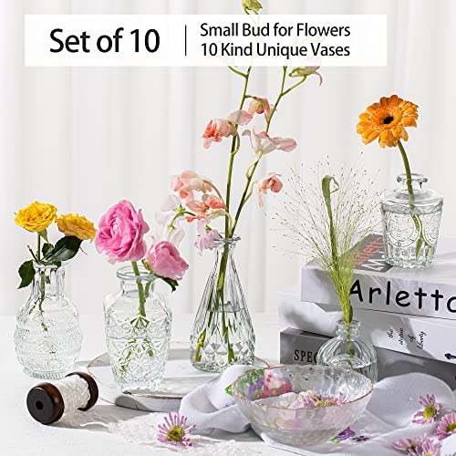 Clear Glass Bud Vases Set of 10, Small Flower Vases Wedding Decor - color: Clear