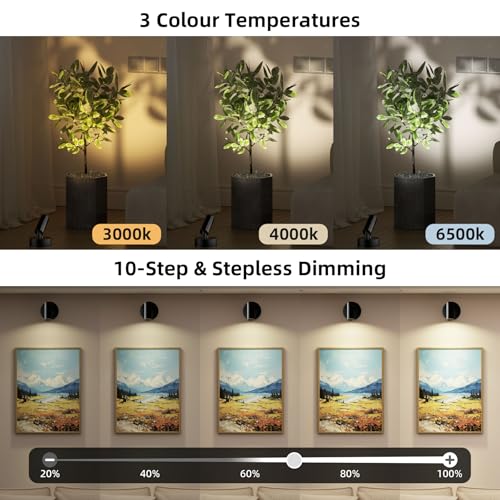Spotlights Indoor with Remote & Touch Dimmable 3CCT, 5500mAh Battery Picture Lights Uplights Indoor with Timer, Mini Uplighting for Painting Tree Wall Gallery Hallway Lights(2 Pack) - color: 2 x Black