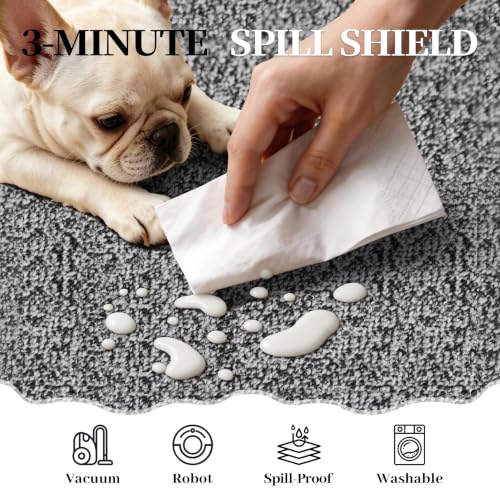 Waterproof 3x5 Small Area Rug Non Slip for Dogs Joint-Friendly, Black/Gray - color: Sky Black, size: 3' x 5' (Runner)
