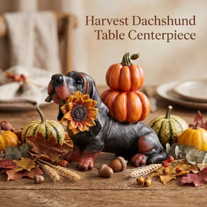 Fall Dachshund Pumpkin Dog Figurine Decor, Thanksgiving Dog Statue - color: Dachshund