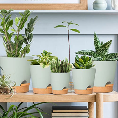 GARDIFE Plant Pots 7/6.5/6/5.5/5 Inch Self Watering Planters with Drainage Hole, Plastic Flower Pots, Nursery Planting Pot for All House Plants, African Violet, Flowers, and Cactus,Green - color: 7-green, size: 7+6.5+6+5.5+5 inch