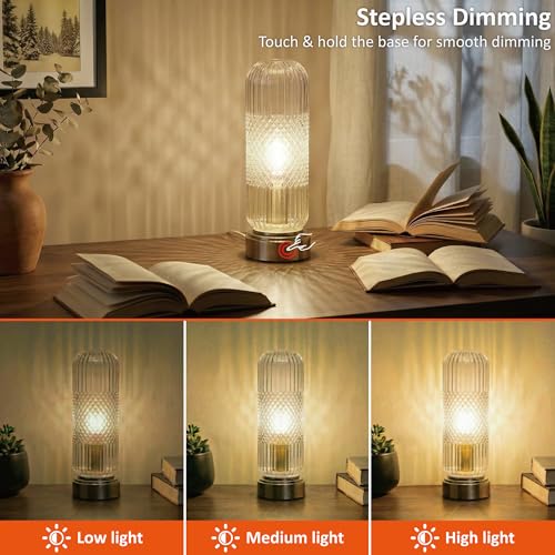Buruis 11.6 Inch Touch Dimmable Table Lamp with Ribbed Glass Shade, Clear - color: Clear