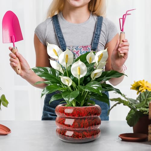 Ceramic 6 inch Plant Pot - Red Planter for Indoor Plants with Drainage Hole - color: Red-s