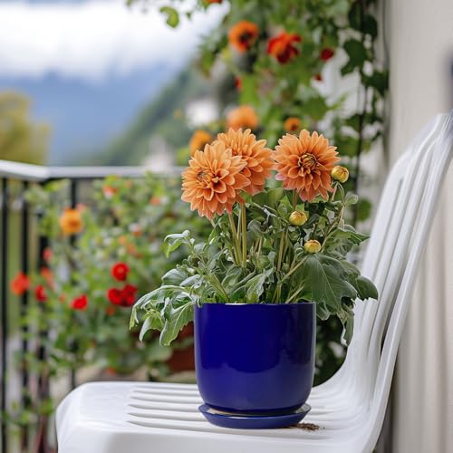 Succulent Pot 5 Inch, Modern Ceramic Planter, Blue - color: Dark Blue, size: 5.3 Inch