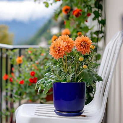 Succulent Pot 5 Inch, Modern Ceramic Planter, Blue - color: Dark Blue, size: 5.3 Inch