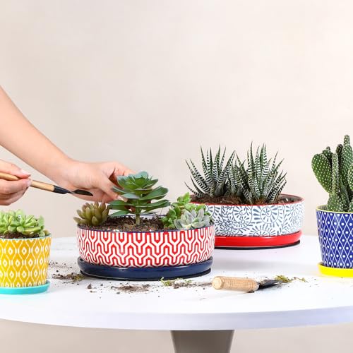 Selamica Ceramic Succulent Pots, Shallow Succulent Planters with Drainage Hole & Saucer, Indoor Plant Pots for Cactus, Home Decor，Assorted Colors,8 inch，Set of 2 - color: Assorted Colors, size: 8 inch