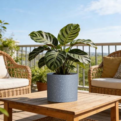 Plant Pots, 10/9/8 Inch 3 Pack Cylindrical Flower Pots with Drainage Holes and Saucers, Plastic Planters for Outdoor Indoor Plants,Grey with White Speckles - color: Grey With White Speckles