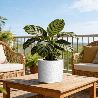 Plant Pots, 10/9/8 Inch 3 Pack Cylindrical Flower Pots with Drainage Holes and Saucers, Plastic Planters for Outdoor Indoor Plants,White with Black Speckles - color: White With Black Speckles