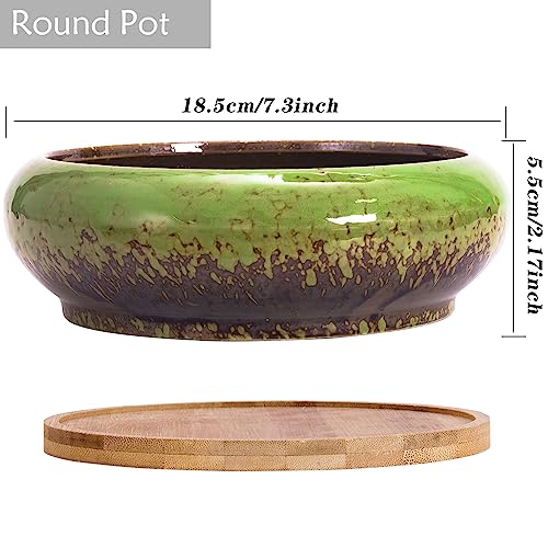 Succulent Pots, 1 Rectangle Planter + 1 Ceramic Bonsai Pots with Drain Tray - color: Green