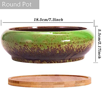 Succulent Pots, 1 Rectangle Planter + 1 Ceramic Bonsai Pots with Drain Tray - color: Green