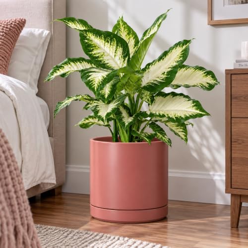 D'vine Dev 10 Inch Ceramic Planter Pot, Dusty Rose, 94-O-E-R - color: Dusty Rose, size: Large