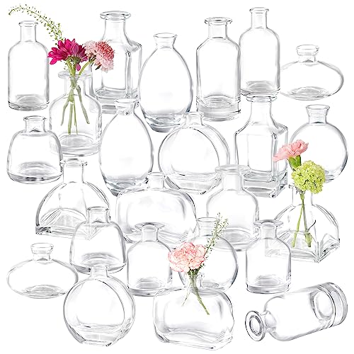 Bud Vases Set of 24, Glass Bud Vase in Bulk, Clear Bud Vases - color: Clear Set of 24