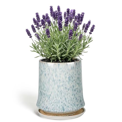8 Inch Ceramic Planter Pot with Saucer Drainage Leak-Proof Mesh,Flower Pots for Lavender with Gardening Gloves,Ceramic Planter for Orchid(Light Blue) - color: Light Blue, size: 8 Inch