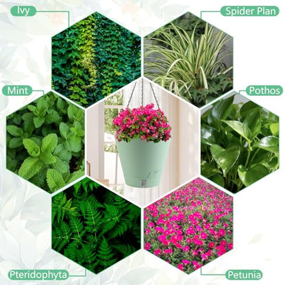8 Inch Hanging Planters Indoor Outdoor, 3 Pack Plastic Self Watering Plant Pots with Drainage Holes & Saucers, Hanging Baskets Flower Pots with Chain for Ivy, Spider Plant, Pothos, Ferns - color: Green