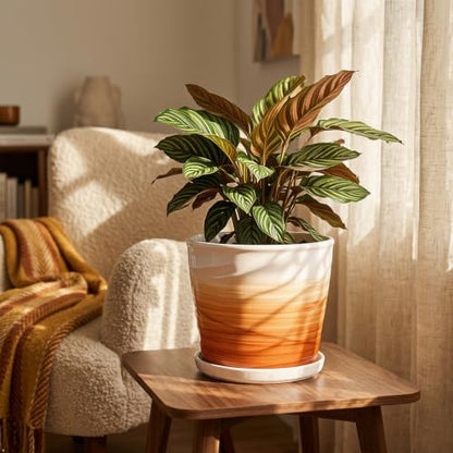 8 Inch Ceramic Plant Pot, Khaki + White - color: Khaki + White, size: 8 Inch-1 Pack