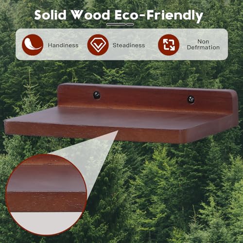 Small Floating Shelves for Wall,5x8.5 Inch,Set of 3,Dark Walnut - color: Dark Walnut