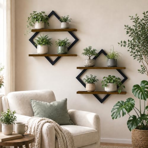 2 Pack Floating Wall Shelves for Indoor Plants, 2-Tier Wall Plant Holder - size: 2-Pack