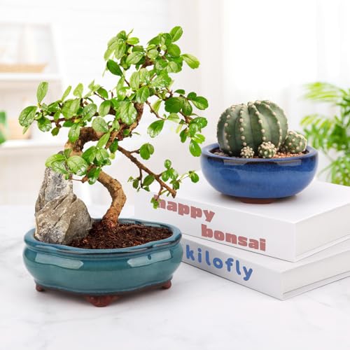 Bonsai Planter 4.9" 5.7" 2pc Small Succulent Glazed Pots + 6 Soft Mesh Drainage Screens - style: Style A&C2