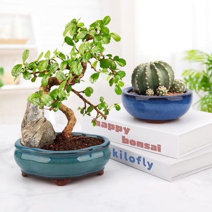Bonsai Planter 4.9" 5.7" 2pc Small Succulent Glazed Pots + 6 Soft Mesh Drainage Screens - style: Style A&C2