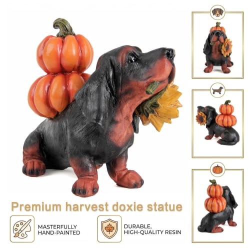 Fall Dachshund Pumpkin Dog Figurine Decor, Thanksgiving Dog Statue - color: Dachshund
