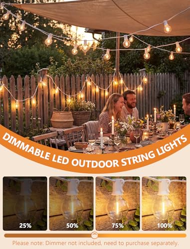 25Ft G40 LED White Outdoor String Lights with 27 Shatterproof Globe Bulbs - color: White, size: 25Ft