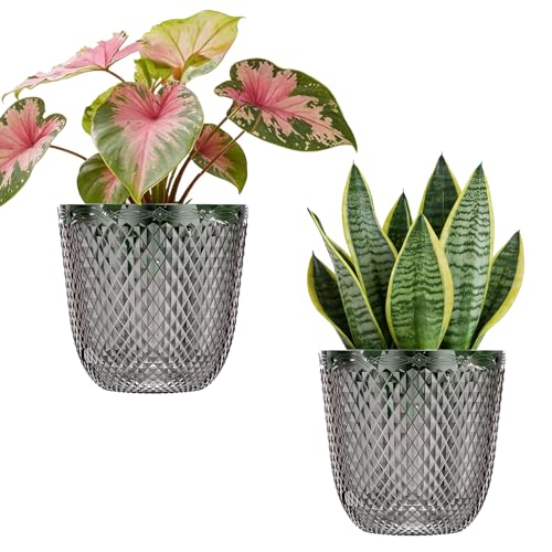 QCQHDU 2 Pack Self Watering Pots, 7.2 Inch, with Drainage Holes, Gray - color: Gray, size: 7.2in