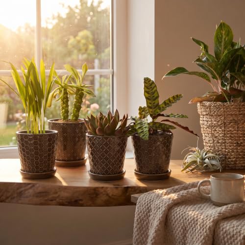 EFISPSS Ceramic Plant Pots, 5 Inch Planters with Drainage Holes and Ceramic Tray, Relief Design Flower Planter, Desktop Office Windowsill Decoration Gift Set of 4 - Black - color: Black