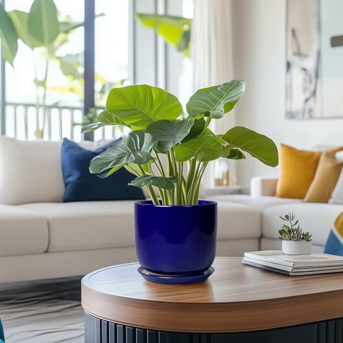 Ceramic Flower Pot 7 Inch, Round Planter, Blue - color: Dark Blue, size: 7 Inch