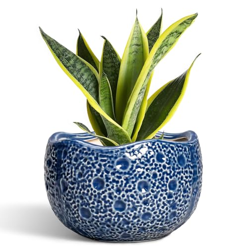 Ceramic Pots for Plants - 8 Inch Round Planter with Drainage Hole, Round Decorative Plant Pots for Indoor Outdoor, Modern Unique Flower Pot, House Living Room Decor, Home Gifts, Blue - color: Blue, size: 8.2 Inch