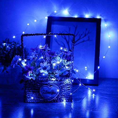 RUICHEN Fairy Lights Plug in with Remote, Copper Wire 33 Ft 100 LED, Blue - color: Blue