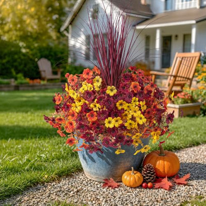Ivydale Artificial Mums Flowers for Outdoors 12 Pcs + Burgundy Grass - color: Orange Yellow Brownish-red