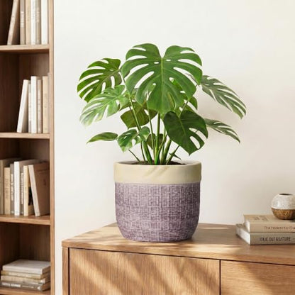 8 Inch Plant Pot, Ceramic Planter, Round Pot for Plants, Purple - color: Purple, size: 8 Inch