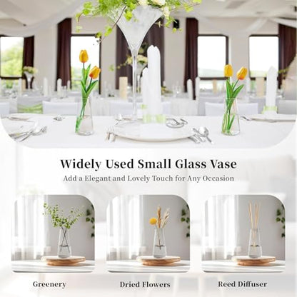 Glasseam Small Glass Vases for Flowers, 12 Pcs Clear Bulk Centerpiece Vases - size: Clear-12pcs