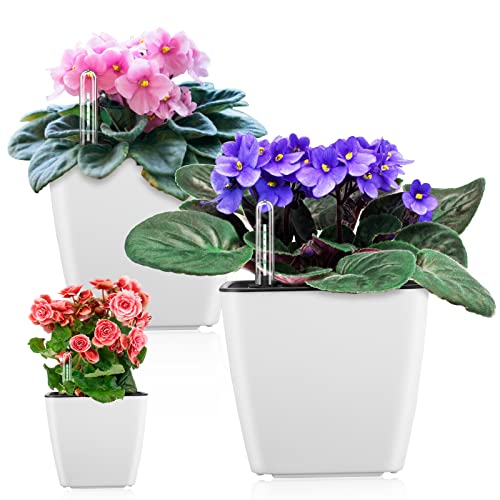 Self Watering Planters for Indoor Plants : 5 inch 3 Pack White African Violet Self Watering Flower and Herb pots - color: White Pack of 3