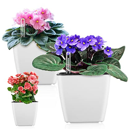 Self Watering Planters for Indoor Plants : 5 inch 3 Pack White African Violet Self Watering Flower and Herb pots - color: White Pack of 3