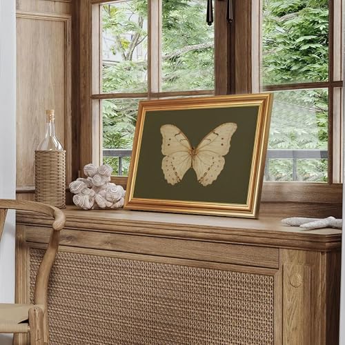 EJPFOGV Butterfly Framed Canvas Wall Art Dark Green Background 12x16 inches - color: Butterfly, size: 16"L x 12"W