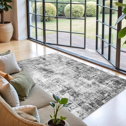 4x7 Rug for Wide Hallway: Modern Neutral Living Room Rug Black - color: Black, size: 4' x 7' (Runner)