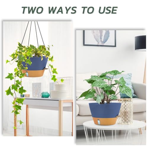 ZMTECH 대형 30.5cm(12인치) 자체 급수 벽걸이 화분, 워터 윈도우 및 체인 - color: 블루.