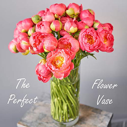 CYS Excel Clear Glass Cylinder Vase (H:12" D:4") | Multiple Size Choices Glass Flower Vase Centerpieces | Hurricane Floating Candle Holder - size: H-12" D-4"