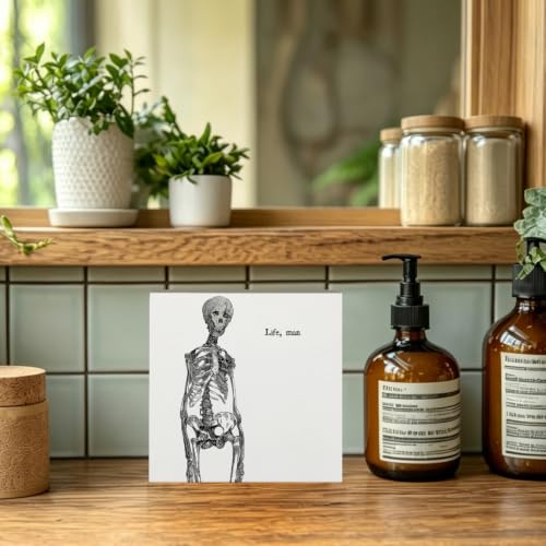 Halloween Gothic Skeleton Anatomy Wooden Box Sign Desk Decor - color: Spooky Skull
