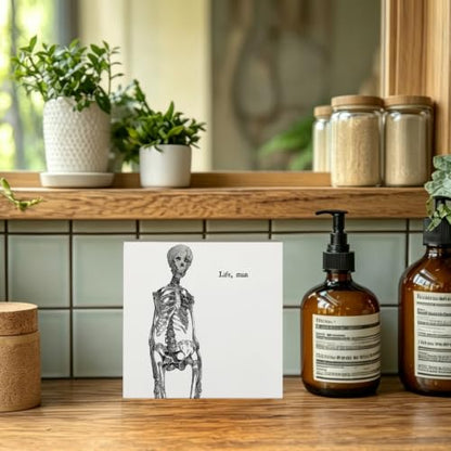 Halloween Gothic Skeleton Anatomy Wooden Box Sign Desk Decor - color: Spooky Skull