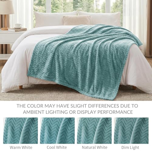 Exclusivo Mezcla Large Fleece Throw Blanket for Couch, Sofa, Celadon - color: Celadon, size: Throw ( 50x70 IN )